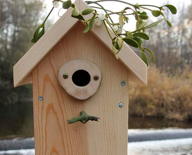 cajas nido o casas para pájaros